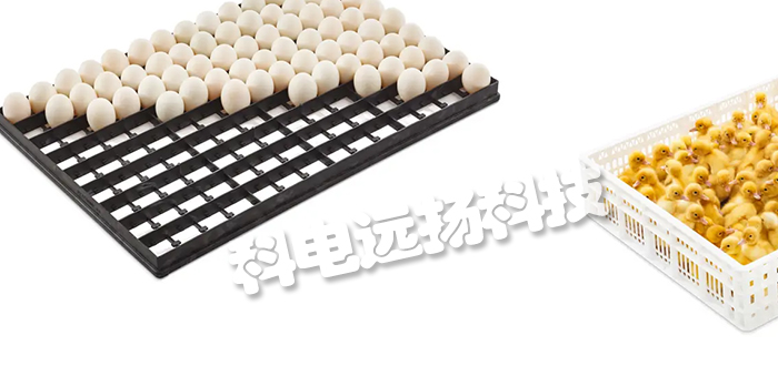 比利時PETERSIME孵化器/手推車/入孵機(jī)托盤